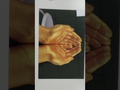 उत्पादन संख्या 6