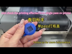 उद्योग एकल पास यूवी प्रिंटर मुद्रण व्यापक प्रारूप प्रिंटर जलरोधक