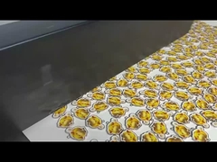 बड़े प्रारूप प्रिंटर