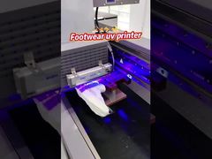 AC 220V/50Hz/60HZ पावर सप्लाई रिको जेन 5i नोजल के साथ सिंगल पास यूवी प्रिंटर